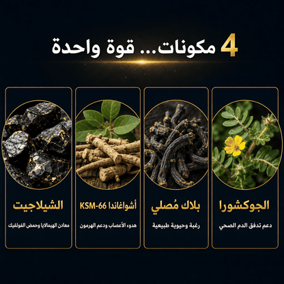 علكة الشيلَجيت للطاقة – لتأخير وتعزيز طبيعي